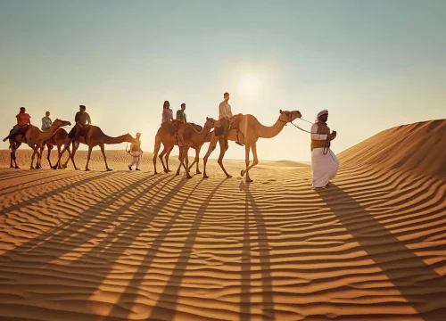 Camel Ride Tour Dubai