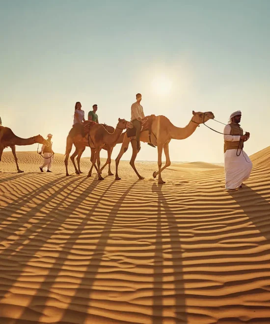 Camel Ride Tour Dubai