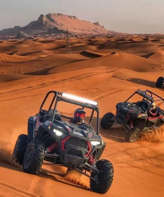Dune Buggy 2 Seater Dubai